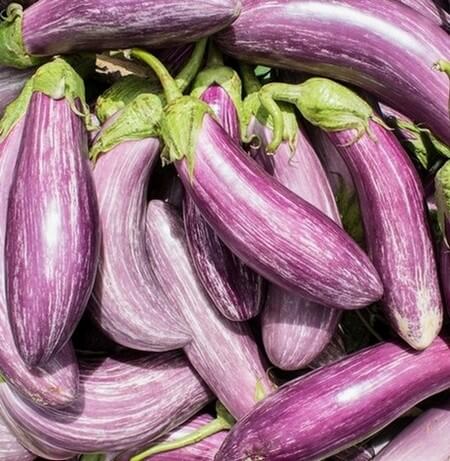 Tsakoniki padlizsán